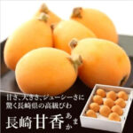Amaka Biwa (Loquat) - Top Premium Grade | Nagasaki Prefecture