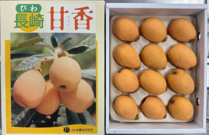 Amaka Biwa (Loquat) - Top Premium Grade | Nagasaki Prefecture | 4L Size