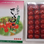 Benishuho Cherry | Yamagata Prefecture | 4L Size