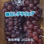 Delaware Grapes | Shimane Prefecture