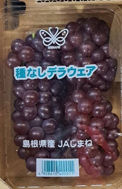 Delaware Grapes | Shimane Prefecture