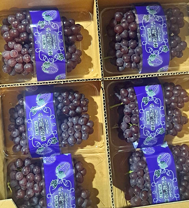Delaware Grapes | Shimane Prefecture | Pack