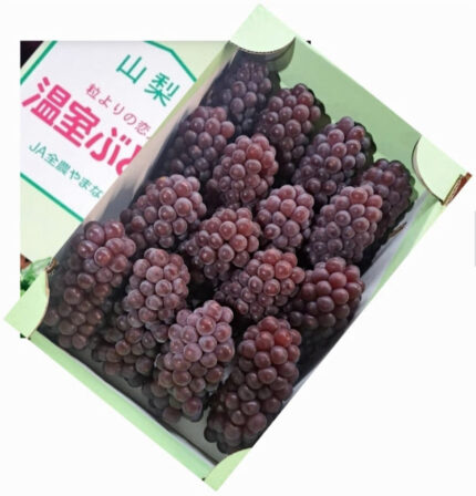 Delaware Grapes | Yamanashi Prefecture | L Size