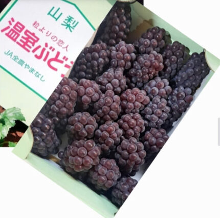 Delaware Grapes | Yamanashi Prefecture | M Size