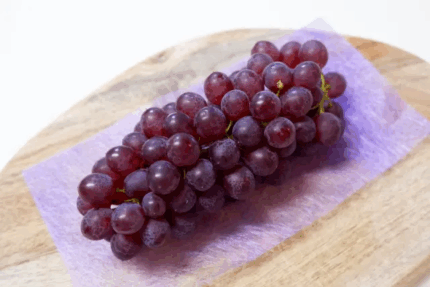 Delaware Grapes | Yamanashi Prefecture | Bunch