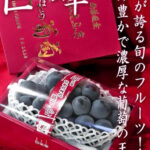Fuefuki Premium Kyoho Grapes | Yamanashi Prefecture | Giftbox
