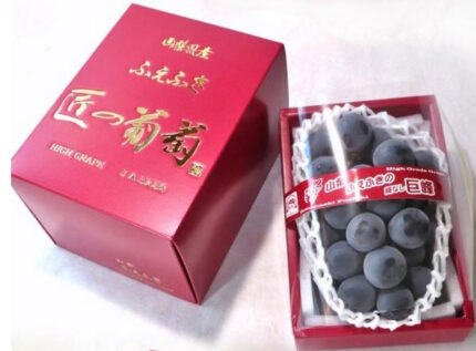 Fuefuki Premium Kyoho Grapes | Yamanashi Prefecture | Giftbox