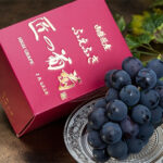 Fuefuki Takumi - Kyoho Grapes | Yamanashi Prefecture | Gift Box Bunch