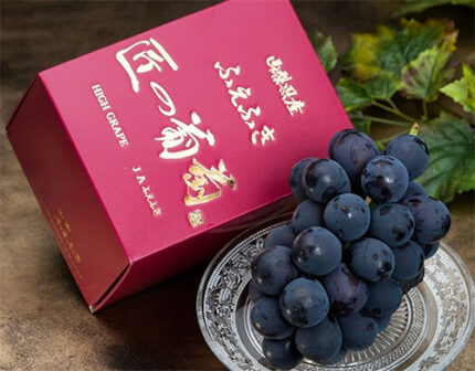 Fuefuki Takumi - Kyoho Grapes | Yamanashi Prefecture | Gift Box Bunch