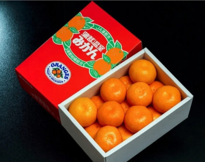 House Grown Mikan | Aichi Prefecture | S Size