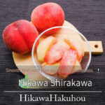 House Grown Peach Hikawa Hakuhou variety | Yamanashi Prefecture