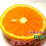 Kiyomi Orange | Wakayama Prefecture