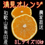 Kiyomi Orange | Wakayama Prefecture | 3L Size