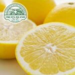 Mishokan - Grapefruit | Ehime Prefecture