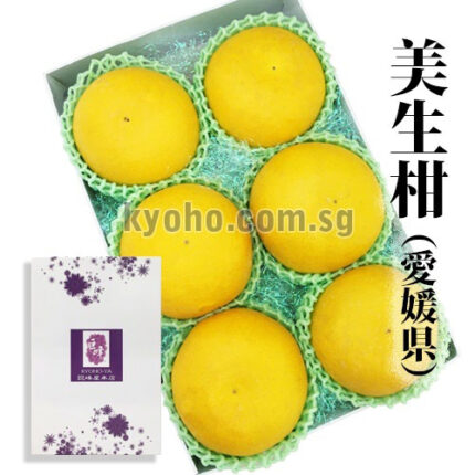 Mishokan - Grapefruit | Ehime Prefecture