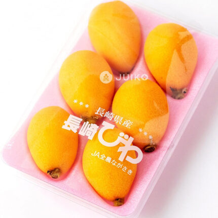 Mogi Biwa (Loquat) | Nagasaki Prefecture | L Size | Pack