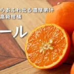 Seminoru Orange | Wakayama Prefecture