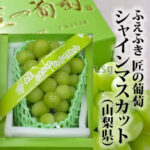 Shine Muscat Grapes | Fuefuki - Premium Grade | Yamanashi Prefecture | 650g