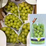 Shine Muscat Grapes | Aoshu Grade | Yamanashi Prefecture | 600g