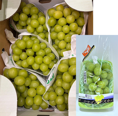 Shine Muscat Grapes | Aoshu Grade | Yamanashi Prefecture | 600g