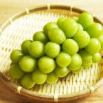 Shine Muscat Grapes | Fuefuki | Yamanashi Prefecture | Bunch