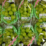 Shine Muscat Grapes | Fuefuki | Yamanashi Prefecture | Pack