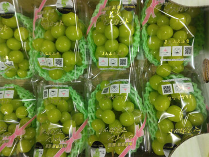 Shine Muscat Grapes | Fuefuki | Yamanashi Prefecture | Pack