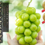 Shine Muscat Grapes | Nagano Prefecture