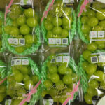 Shine Muscat Grapes | Yamanashi Prefecture | Pack
