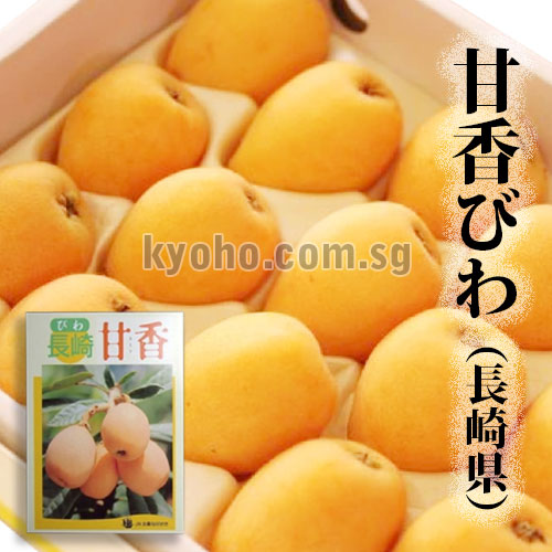 Amaka Biwa (Loquat) - Top Premium Grade | Nagasaki Prefecture