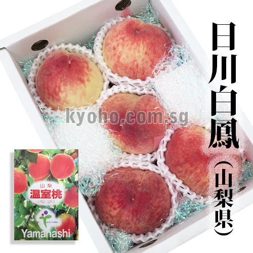 House Grown Peach Hikawa Hakuhou variety | Yamanashi Prefecture | 5 Pcs