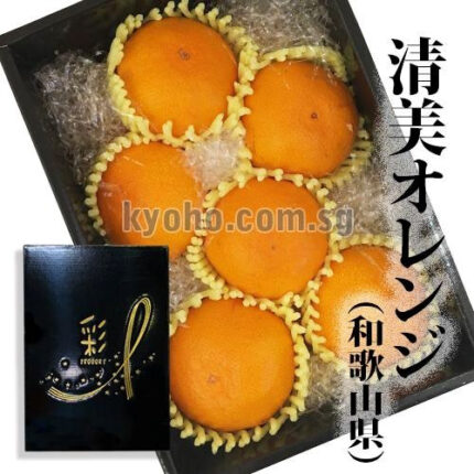 Kiyomi Orange | Wakayama Prefecture | 3L Size