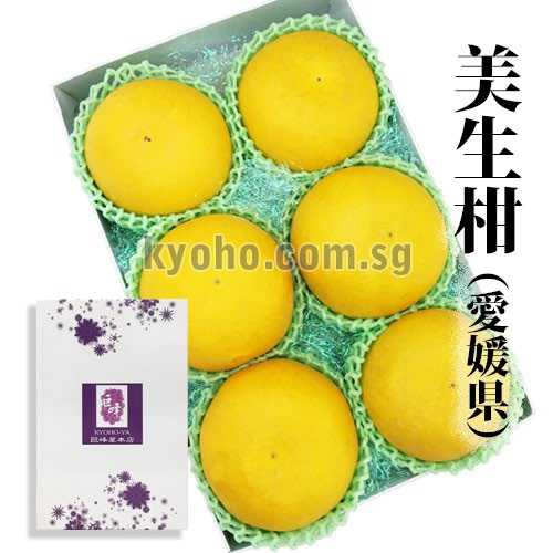 Mishokan - Grapefruit | Ehime Prefecture