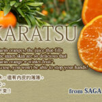 Karatsu Mikan | Saga Prefecture