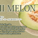 Takami Melon | Ibaragi Prefecture