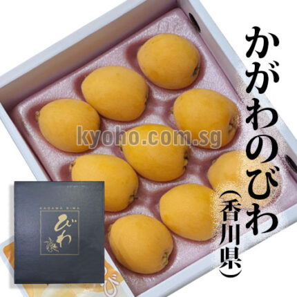 Tatsutayori Biwa | Kagawa Prefecture