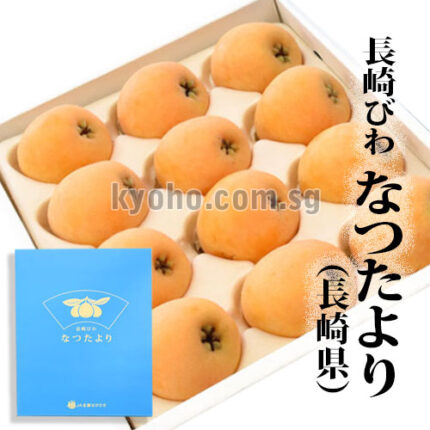 Tatsutayori Biwa | Nagasaki Prefecture