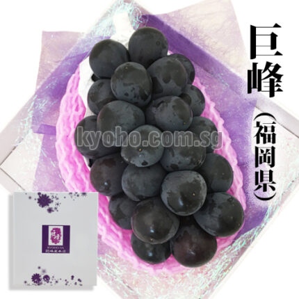 Kyoho Grapes - From Yame (Seedless) | Fukuoka Prefecture | Gift Box