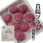 Kiyo Plum (Top Premium) | Yamanashi Prefecture | 9 Pcs