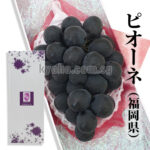 Pione - From Yame (Seedless) | Top Grade | Fukuoka Prefecture | 550g-620g