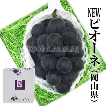Pione Grapes (Seedless) | Okayama Prefecture