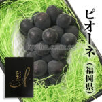Pione - From Yame (Seedless) | Fukuoka Prefecture | Gift Box
