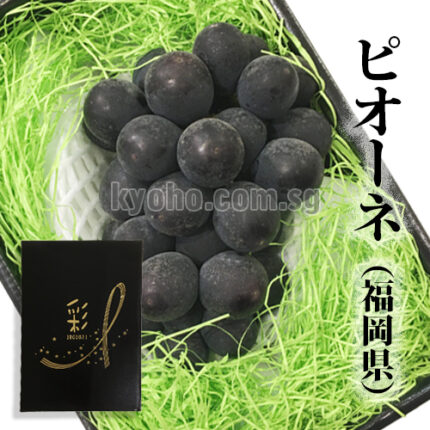 Pione - From Yame (Seedless) | Fukuoka Prefecture | Gift Box