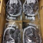 yoho Grapes - From Yame (Seedless) | Fukuoka Prefecture | Pack 350g