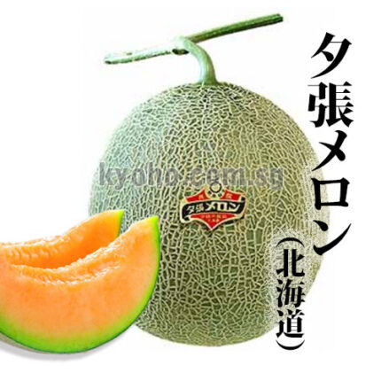 Yubari Melon (Red Flesh) | Hokkaido Prefecture | 2L Size