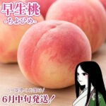 Chiyohime Daitouryo Peach | Yamanashi Prefecture