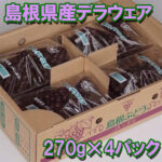 Delaware Grapes | Shimane Prefecture | Box