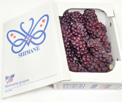 Delaware Grapes | Shimane Prefecture | 2L Size