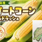 Fresh Sweet Corn | Aichi Prefecture