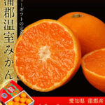 Gamagori Mikan | Aichi Prefecture
